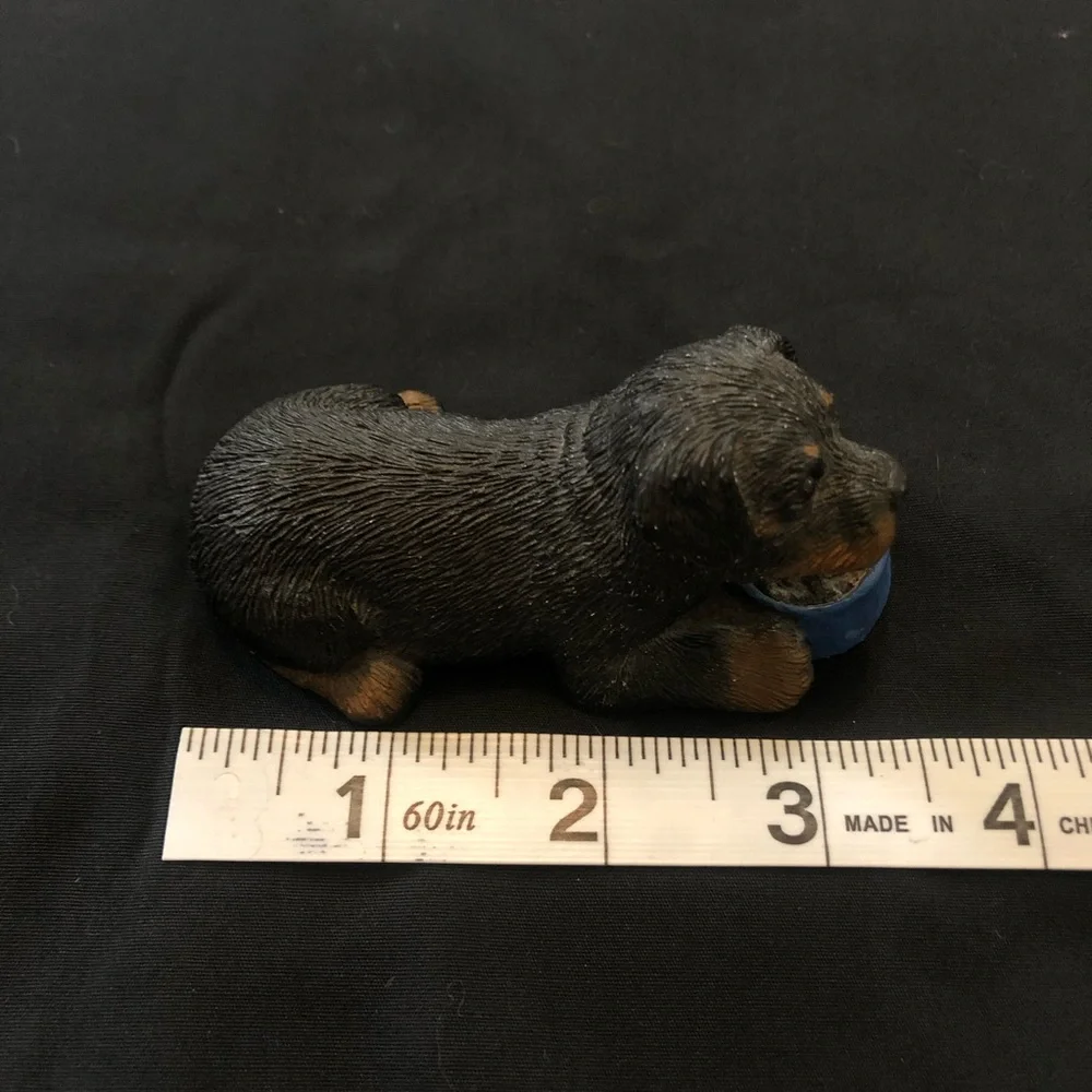 Sandicast Rottweiler - Picture 4 of 4